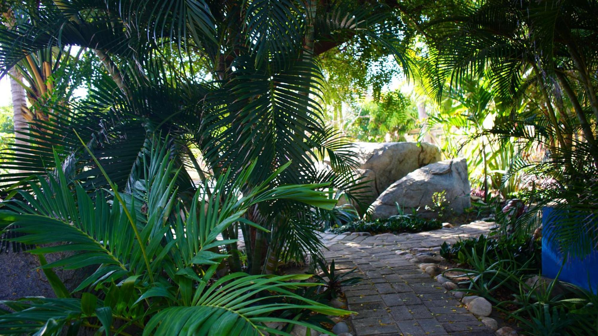 Ocean Oasis Hotel - Adult Only, Four Casitas Boutique Resort Agua Blanca Exteriér fotografie