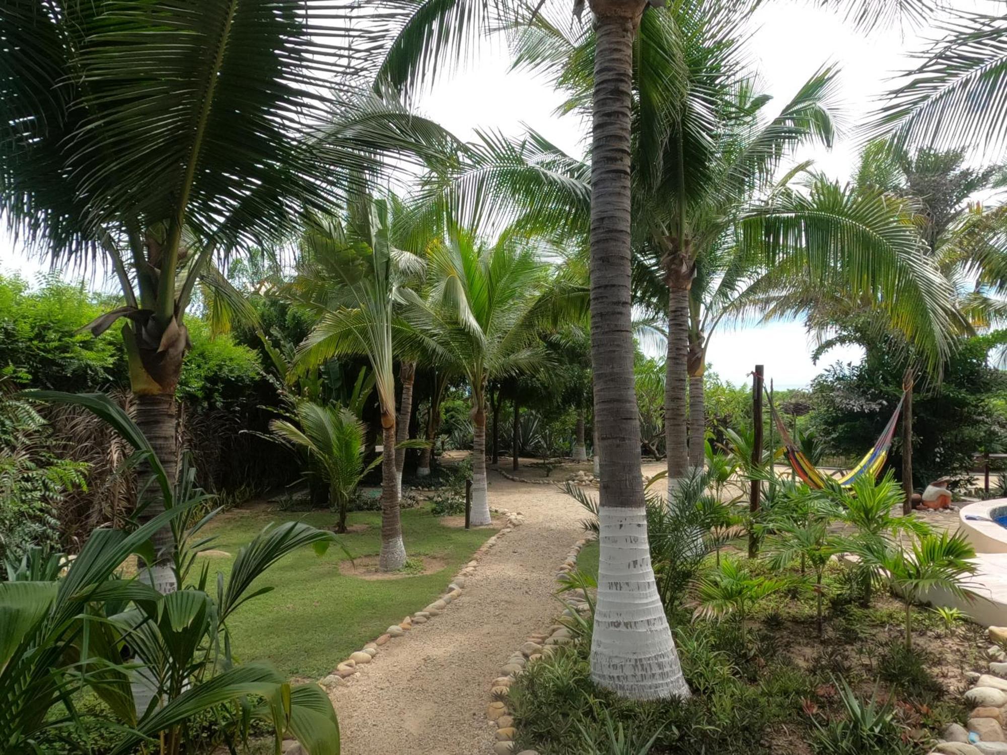 Ocean Oasis Hotel - Adult Only, Four Casitas Boutique Resort Agua Blanca Exteriér fotografie